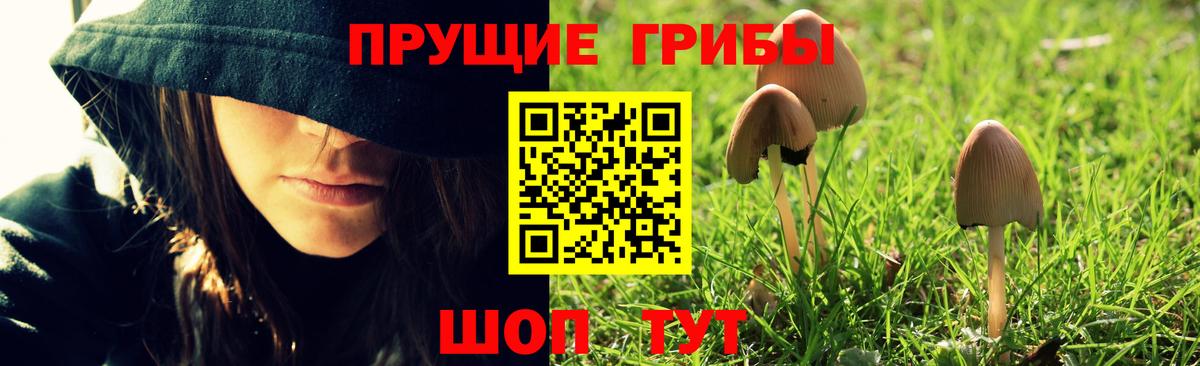 Галлюциногенные грибы прущие грибы Мыски